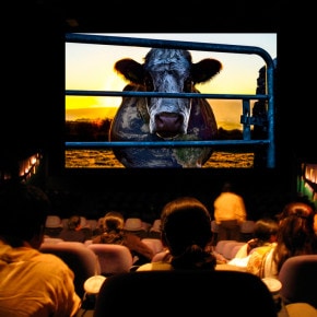 Cowspiracy, documentario sull'impatto ambientale dell'industria degli allevamenti