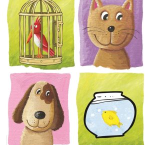 Animali