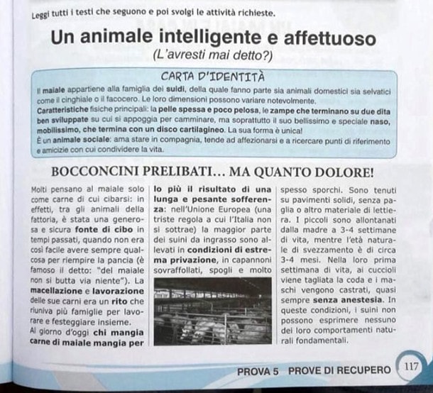 Bocconcini prelibati... ma quanto dolore!