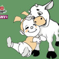 Bambini Vegani Meravigliosi